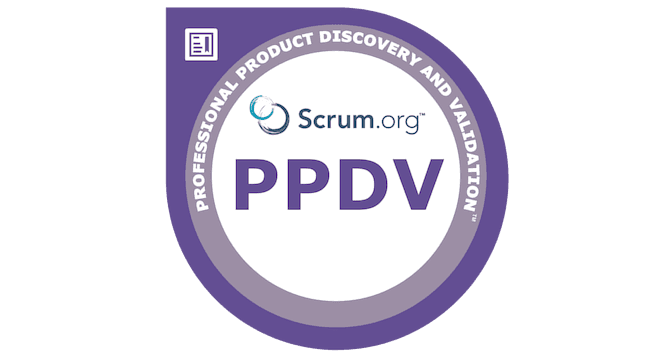 Professional Product Discovery and Validation™ (PPDV)